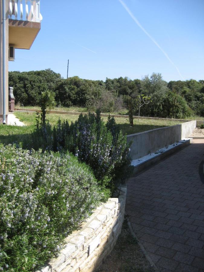 Villa „Drei Palmen“ Sveti Filip i Jakov Bagian luar foto