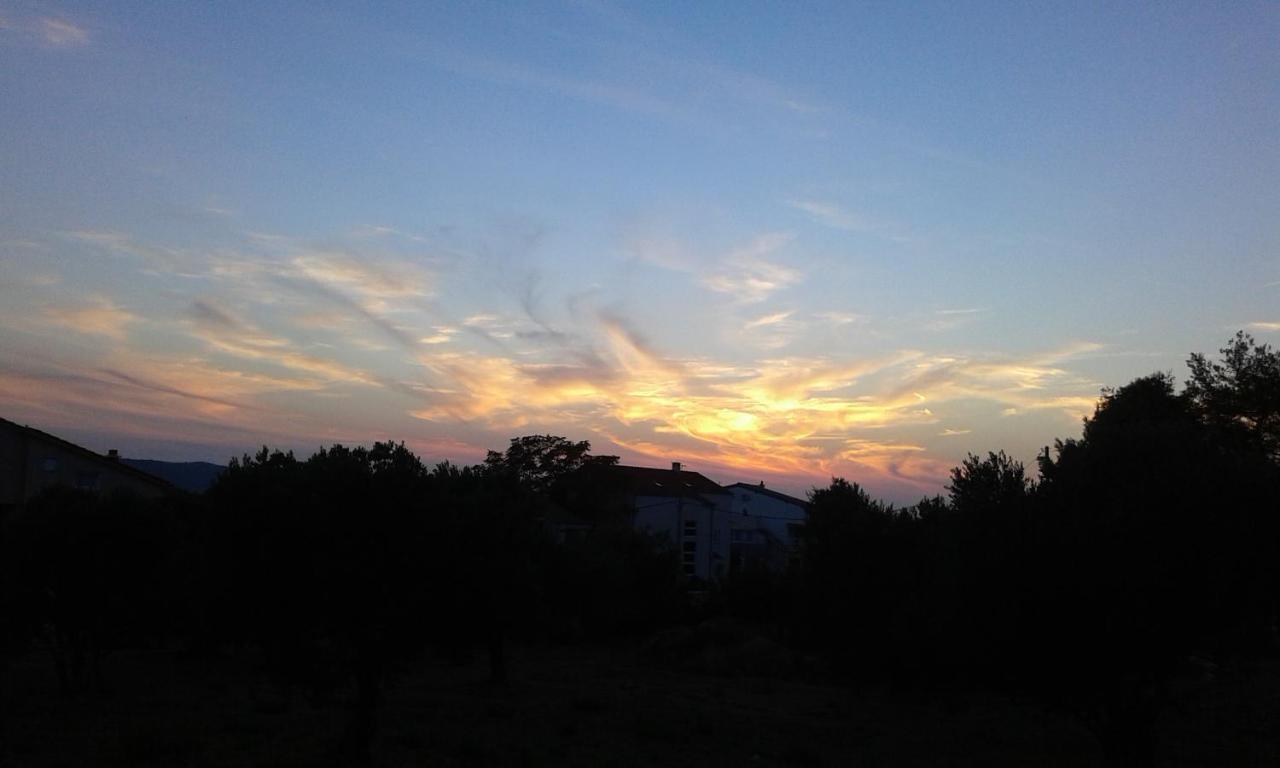 Villa „Drei Palmen“ Sveti Filip i Jakov Bagian luar foto