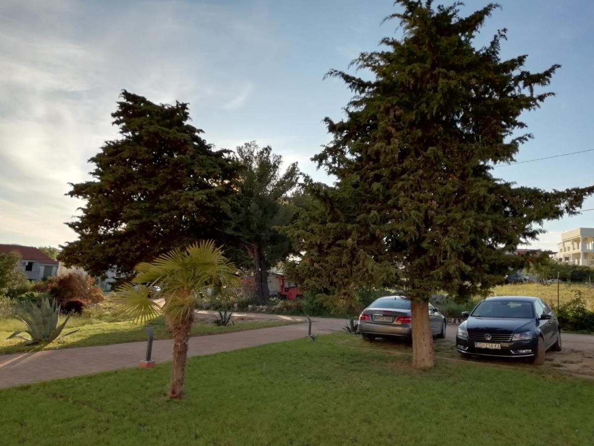 Villa „Drei Palmen“ Sveti Filip i Jakov Bagian luar foto
