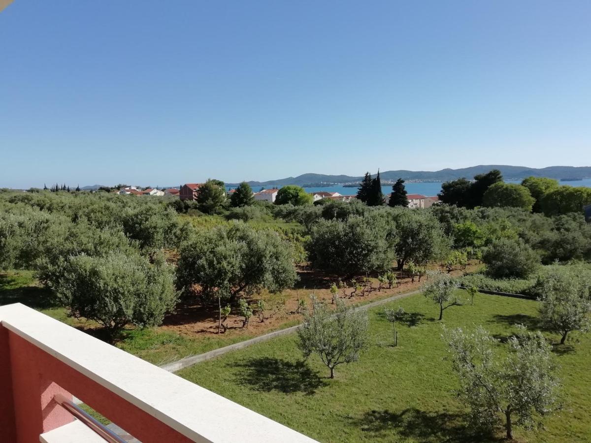 Villa „Drei Palmen“ Sveti Filip i Jakov Bagian luar foto