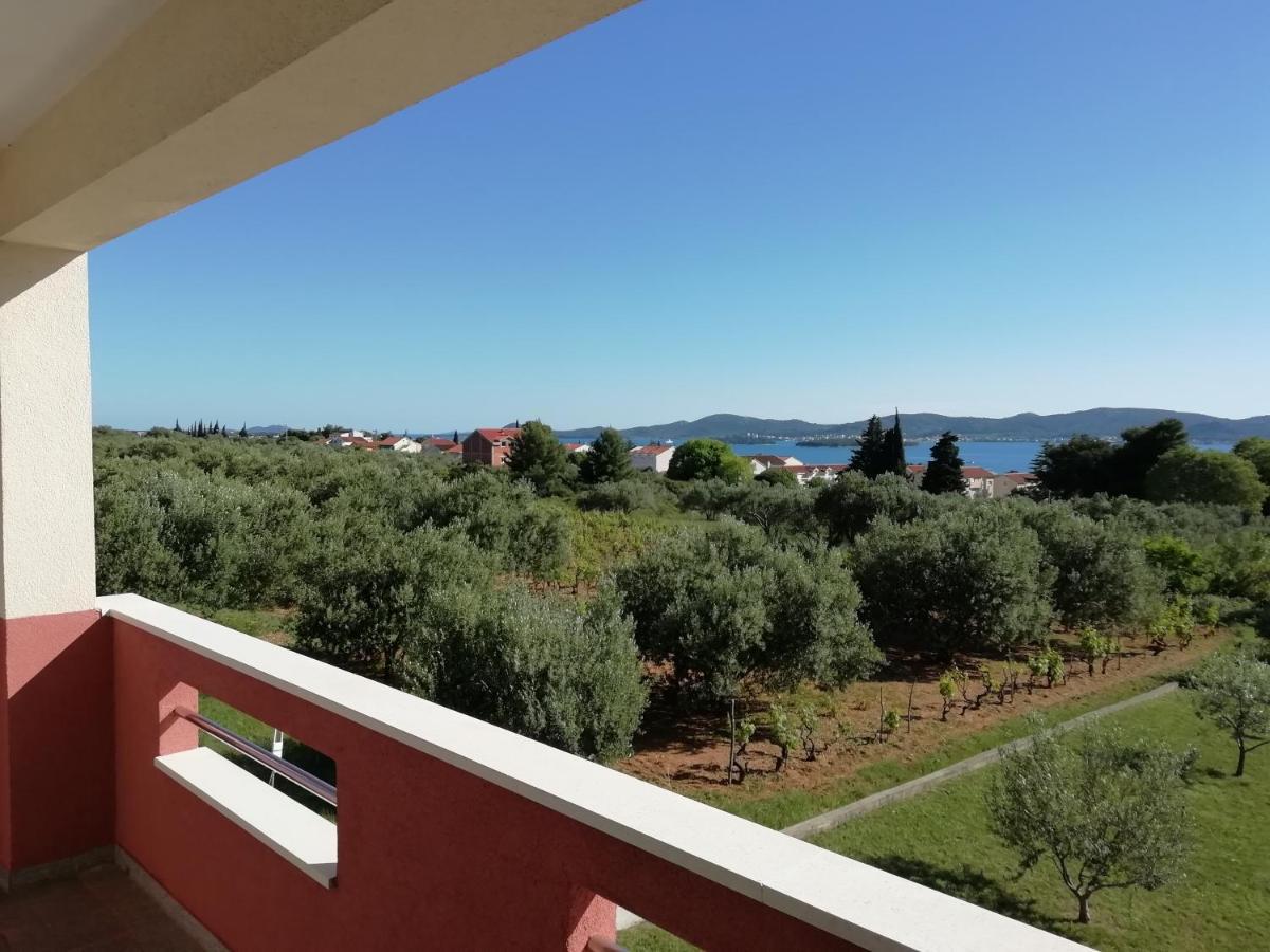 Villa „Drei Palmen“ Sveti Filip i Jakov Bagian luar foto