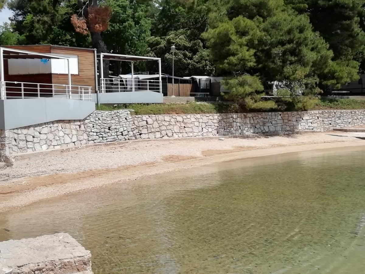Villa „Drei Palmen“ Sveti Filip i Jakov Bagian luar foto